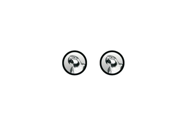 GLASSGOBO-GREY-DUPLICADO